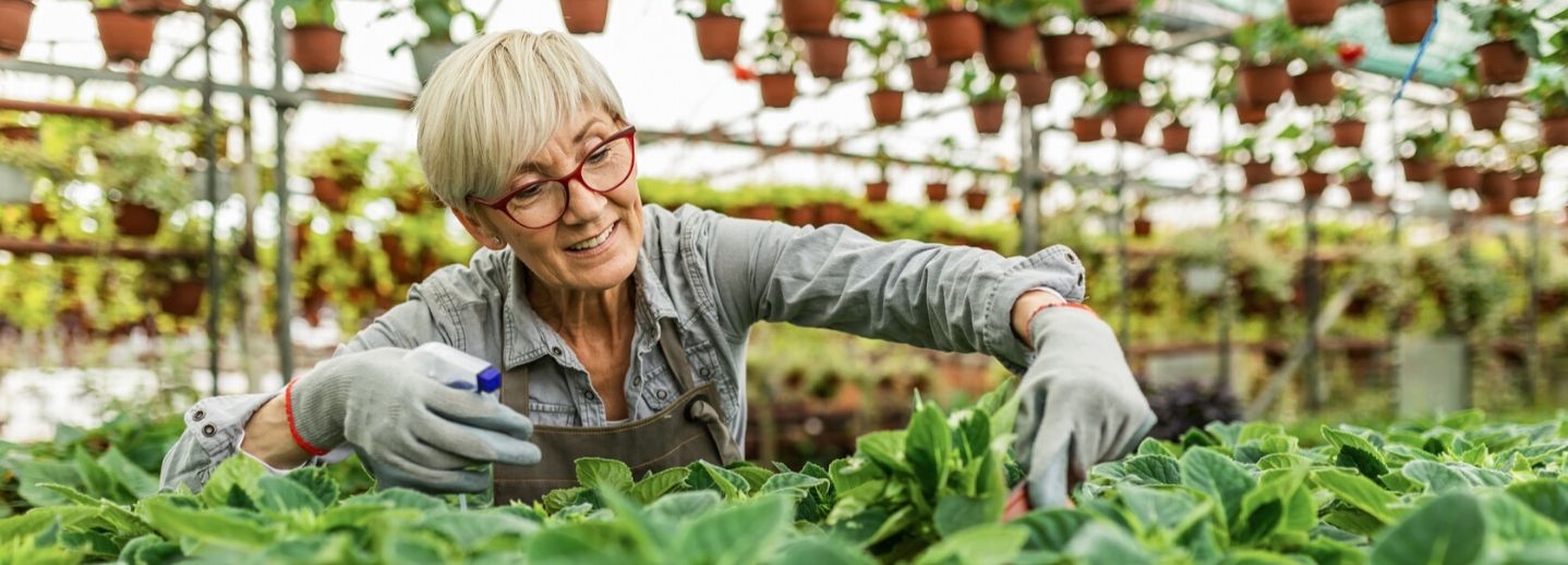 A Retirement Income Roadmap for Women