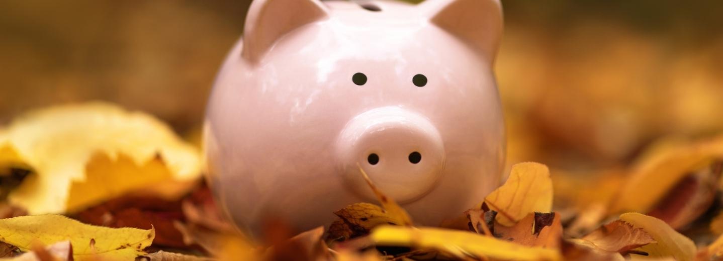 Fall Financial Clean Up Tips