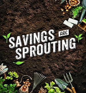 Savings are Sprouting - garden soil image